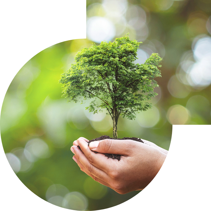 關懷人類、文化、環境與社會